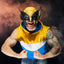 Deadpool & Wolverine Premium Roleplay Mask Wolverine - Severely damaged packaging