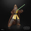 Star Wars: The Acolyte Black Series Action Figure Jedi Master Kelnacca 15 cm