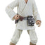 Star Wars Episode IV Black Series Action Figure Luke Skywalker 15 cm