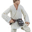 Star Wars Episode IV Black Series Action Figure Luke Skywalker 15 cm