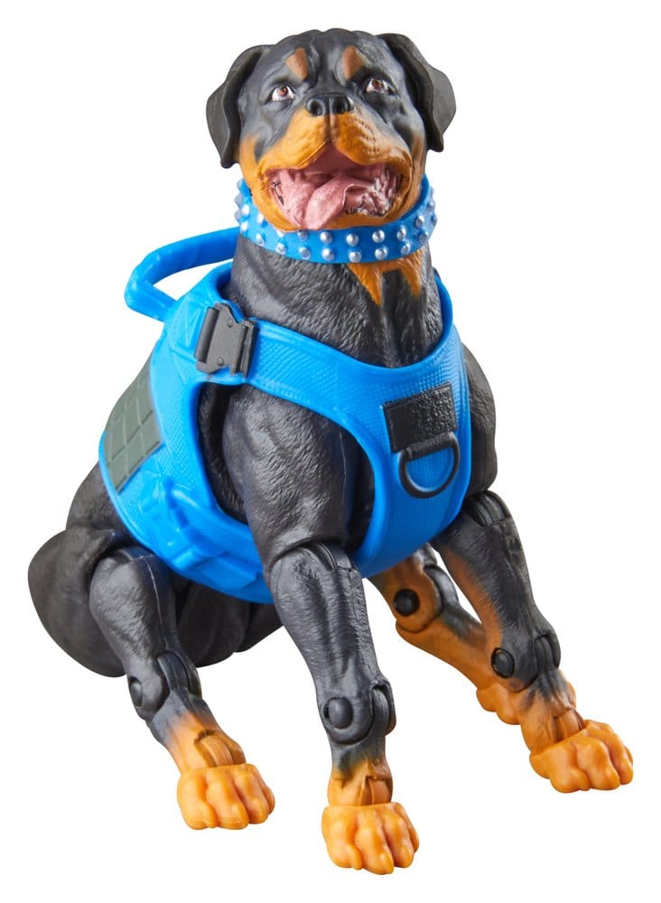 G.I. Joe Classified Series Action Figure 3-Pack #220 Mad Marauders: Footloose & Mutt & Junkyard 15 cm
