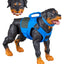 G.I. Joe Classified Series Action Figure 3-Pack #220 Mad Marauders: Footloose & Mutt & Junkyard 15 cm