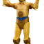 Star Wars: Droids Black Series Action Figure See-Threepio (C-3PO) 15 cm