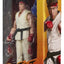 Street Fighter Action Figure Ryu 15 cm