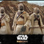 Star Wars The Mandalorian Action Figure 1/6 Tusken Raider 31 cm