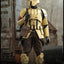 Star Wars The Mandalorian Action Figure 1/6 Shoretrooper 30 cm