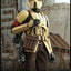Star Wars The Mandalorian Action Figure 1/6 Shoretrooper 30 cm