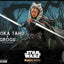 Star Wars The Mandalorian Action Figure 2-Pack 1/6 Ahsoka Tano & Grogu 29 cm