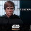 Star Wars: The Mandalorian DX Action Figure 1/6 Luke Skywalker Deluxe Version Spedial Edition 30 cm