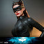 The Dark Knight Trilogy Movie Masterpiece Action Figure 1/6 Catwoman 29 cm