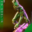 Spider-Man: No Way Home Movie Masterpiece Action Figure 1/6 Green Goblin (Deluxe Version) 30 cm