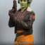 Star Wars: Ahsoka Action Figure 1/6 Hera Syndulla 28 cm