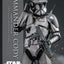 Star Wars Movie Masterpiece Action Figure 1/6 Commander Cody (Chrome Version) Hot Toys Exclusive 30 cm