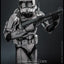 Star Wars Movie Masterpiece Action Figure 1/6 Commander Cody (Chrome Version) Hot Toys Exclusive 30 cm