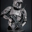 Star Wars Movie Masterpiece Action Figure 1/6 Commander Cody (Chrome Version) Hot Toys Exclusive 30 cm