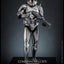 Star Wars Movie Masterpiece Action Figure 1/6 Commander Cody (Chrome Version) Hot Toys Exclusive 30 cm
