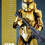 Star Wars Action Figure 1/6 Clone Trooper (Gold Chrome Version) Exclusive 30 cm