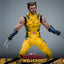 Deadpool & Wolverine Movie Masterpiece Action Figure 1/6 Wolverine (Deluxe Version) 31 cm