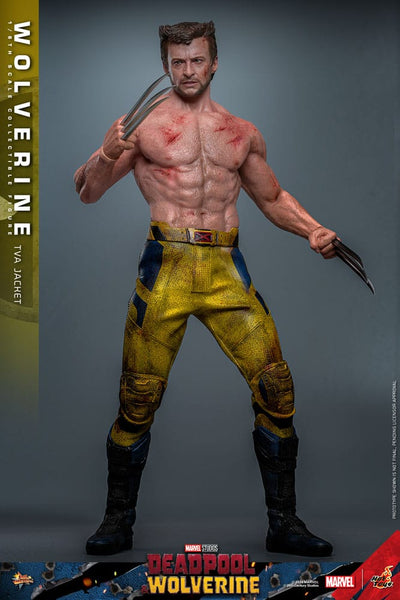 Deadpool & Wolverine Movie Masterpiece Action Figure 1/6 Wolverine (TVA Jacket Version) 31 cm