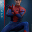 The Amazing Spider-Man Movie Masterpiece Action Figure 1/6 Spider-Man (Deluxe Version) 30 cm