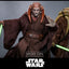 Star Wars: Episode III - Revenge of the Sith Movie Masterpiece Action Figure 1/6 Saesee Tiin 31 cm