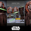Star Wars: Episode III - Revenge of the Sith Movie Masterpiece Action Figure 1/6 Saesee Tiin 31 cm