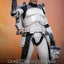 Star Wars: The Clone Wars Action Figure 1/6 Clone Commander Wolffe 30 cm