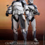 Star Wars: The Clone Wars Action Figure 1/6 Clone Commander Wolffe 30 cm