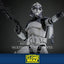 Star Wars The Clone Wars Action Figure 1/6 104th Battalion Wolfpack Clone Trooper Deluxe Version 30 cm - Damaged packaging