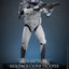 Star Wars The Clone Wars Action Figure 1/6 104th Battalion Wolfpack Clone Trooper 30 cm