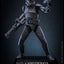Star Wars Action Figure 1/6 Elite Squad Trooper Hot Toys Exclusive 30 cm