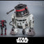 Star Wars Action Figure Set 1/6 Chopper (C1-10P&trade;) & BD-1&trade; (Imperial Disguise) 18 cm & 8 cm