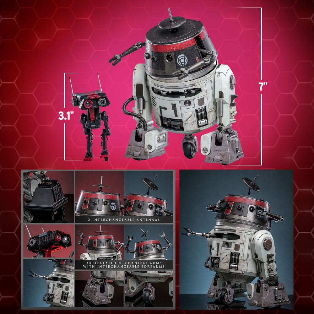 Star Wars Action Figure Set 1/6 Chopper (C1-10P™) &amp; BD-1™ (Imperial Disguise) 18cm &amp; 8cm