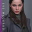 Ballerina Action Figure 1/6 Eve Macarro (Artisan Editon) Hot Toys Exclusive 28 cm