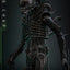 Alien Movie Masterpiece Action Figure 1/6 Big Chap 36 cm