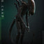 Alien Movie Masterpiece Action Figure 1/6 Big Chap 36 cm