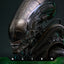 Alien Movie Masterpiece Action Figure 1/6 Big Chap 36 cm
