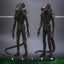 Alien Movie Masterpiece Action Figure 1/6 Big Chap 36 cm