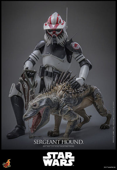 Star Wars: The Clone Wars Action Figure 1/6 Sergeant Hound 30 cm