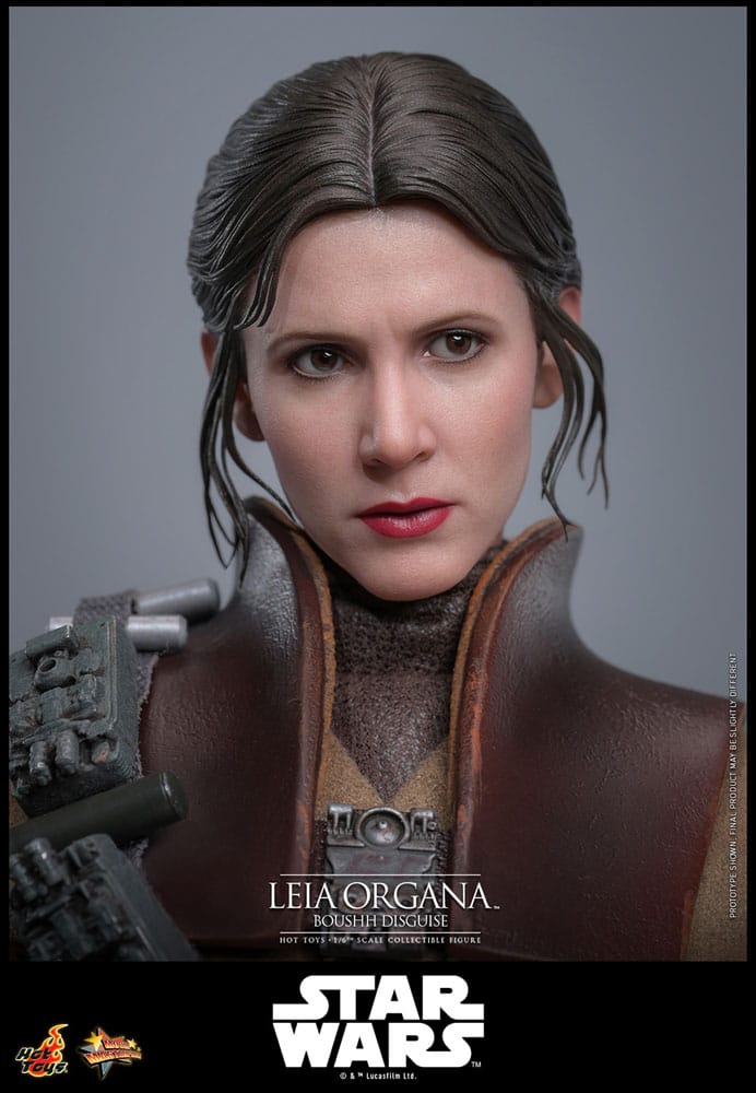 Star Wars Episode VI Movie Masterpiece Action Figure 1/6 Leia Organa (Boushh Disguise) 27 cm