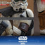 Star Wars: The Mandalorian & Grogu Movie Masterpiece Action Figure 1/6 Imperial Remnant Stormtrooper (Deluxe Version) 30 cm