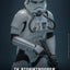 Star Wars: The Bad Batch Action Figure 1/6 TK Stormtrooper 30 cm