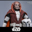 Star Wars: The Clone Wars Television Masterpiece Action Figure 1/6 Saesee Tiin (Clone Armor) (Hot Toys Exclusive) 32 cm