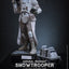 Star Wars: The Mandalorian & Grogu Movie Masterpiece Action Figure 1/6 Imperial Remnant Snowtrooper 30 cm