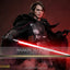 Star Wars Episode III: Revenge Of The Sith Movie Masterpiece Action Figure 1/6 Anakin Skywalker (Concept Art Version) (Artisan Edition) Hot Toys Exclusive 31 cm