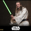 Star Wars: The Phantom Menace Movie Masterpiece Action Figure 1/6 Qui-Gon Jinn (Artisan Edition) Hot Toys Exclusive 32 cm