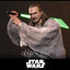 Star Wars: The Phantom Menace Movie Masterpiece Action Figure 1/6 Qui-Gon Jinn (Artisan Edition) Hot Toys Exclusive 32 cm