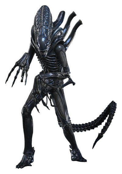 Alien Movie Masterpiece Action Figure 1/6 Alien Warrior 39 cm