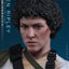 Alien Movie Masterpiece Action Figure 1/6 Ellen Ripley (Deluxe Version) 30 cm