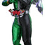Kamen Rider Television Masterpiece Series Action Figure 1/6 Kamen Rider W 31 cm